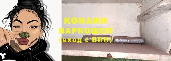 шишки Братск