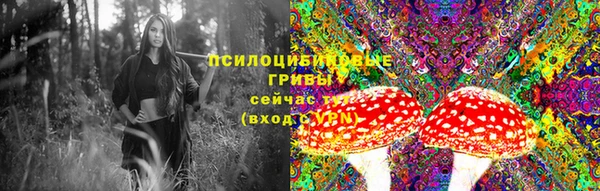 ПСИЛОЦИБИНОВЫЕ ГРИБЫ Магадан