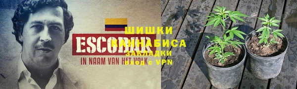 экстази Майский