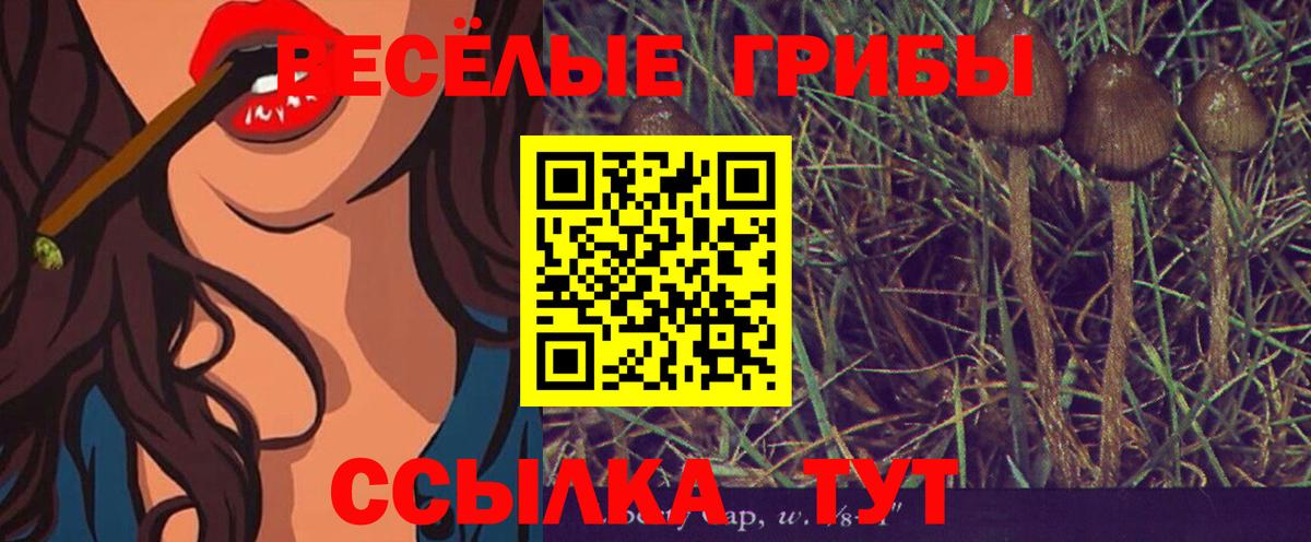 Галлюциногенные грибы Psilocybine cubensis  купить наркотик  Домодедово  Вход с VPN 