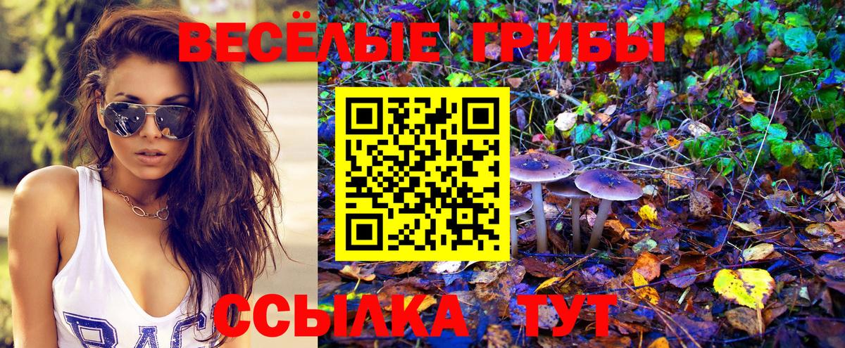 Галлюциногенные грибы MAGIC MUSHROOMS  Домодедово  Псилоцибиновые грибы ЛСД 