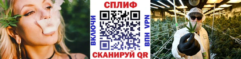Бошки марихуана сатива  Домодедово 
